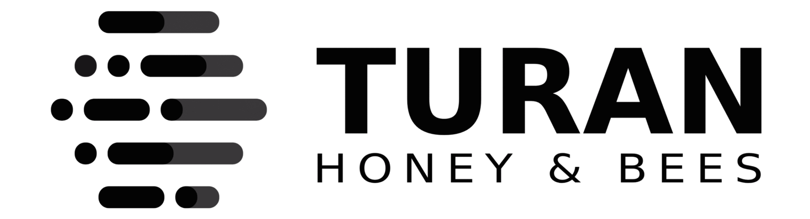 Turan Honey and Bees logo featuring modern black typography with a bold hive-inspired icon on a transparent background.