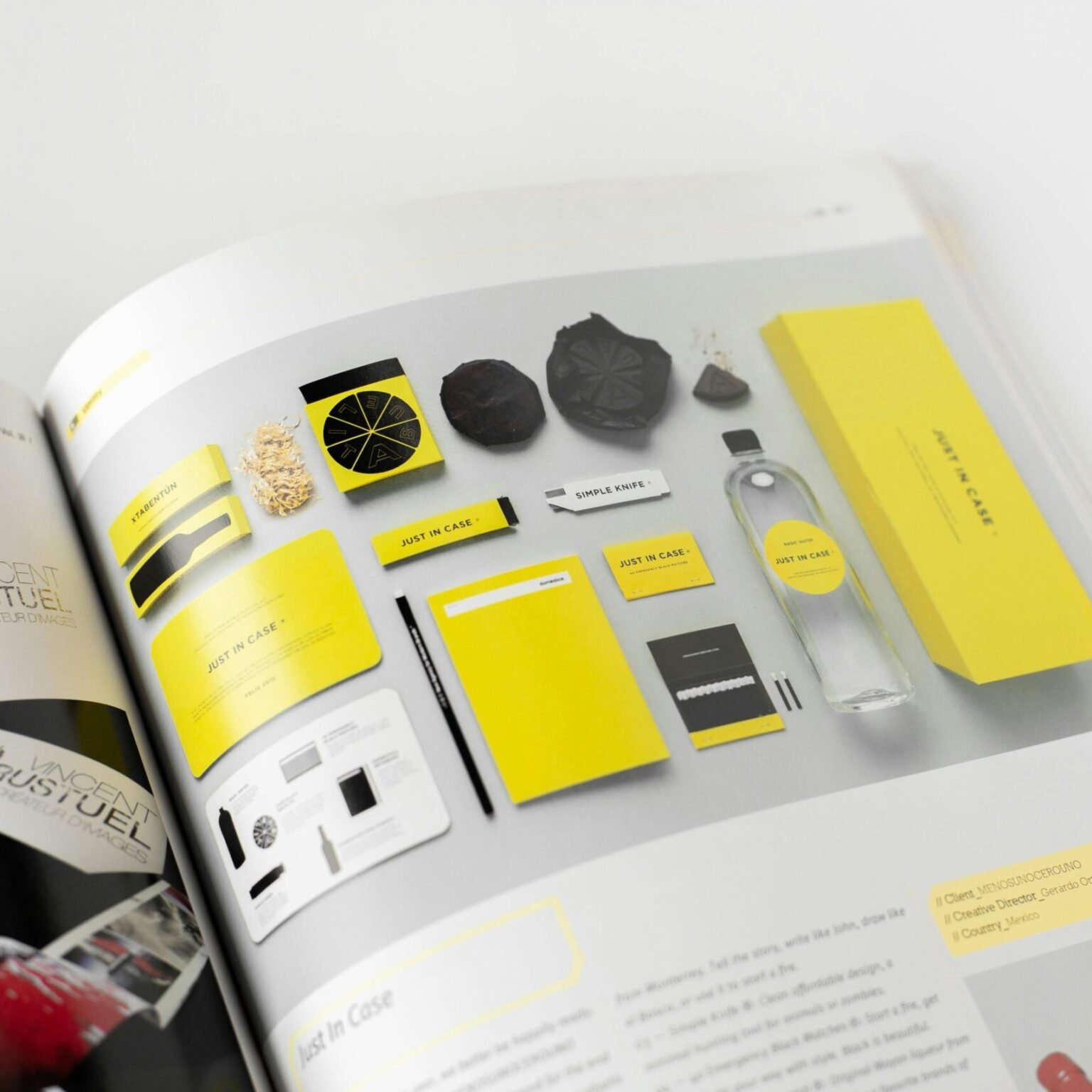 Branded packaging and identity system in a bold yellow color palette displayed in a creative brand strategy booklet reflecting the visual style used in RevampX branding projects.