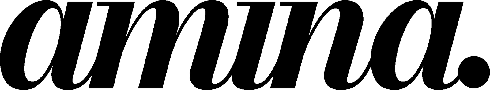 Main logo for the amina. brand - a portfolio website built by RevampX.